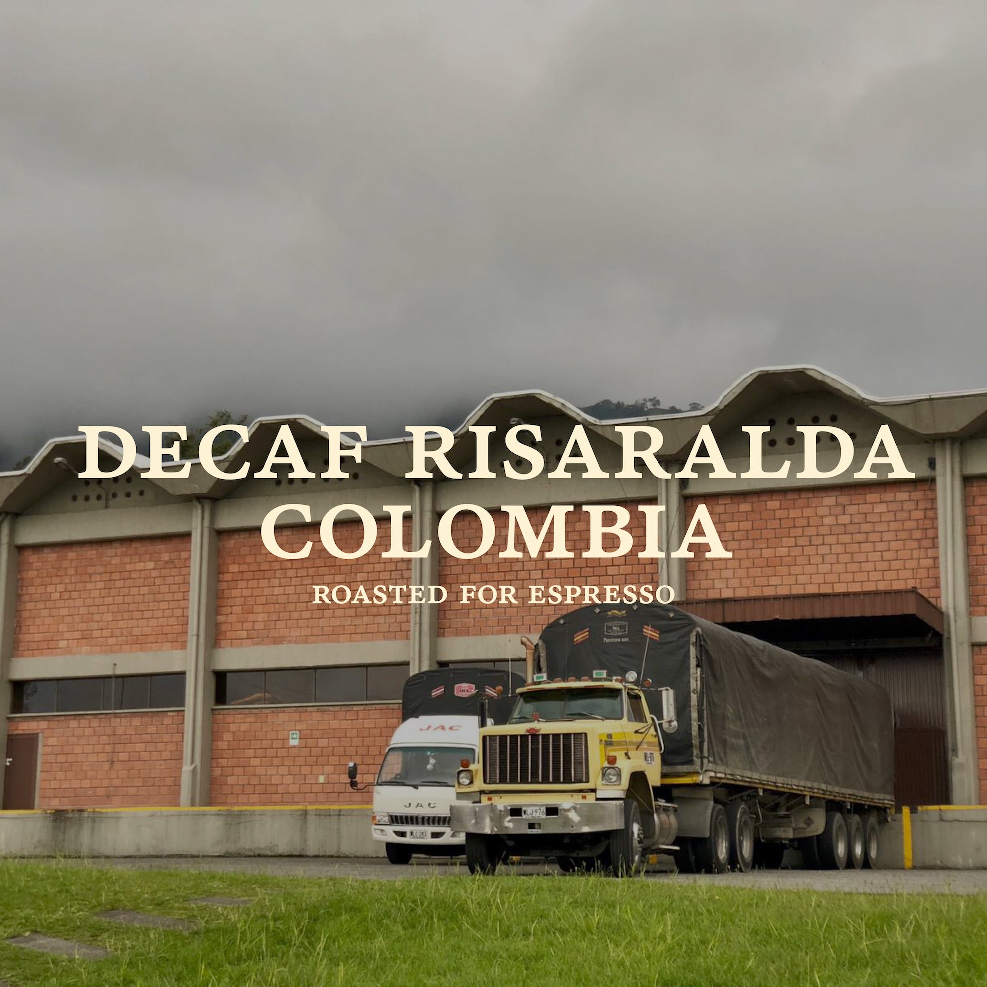 Risaralda Decaf, Colombia