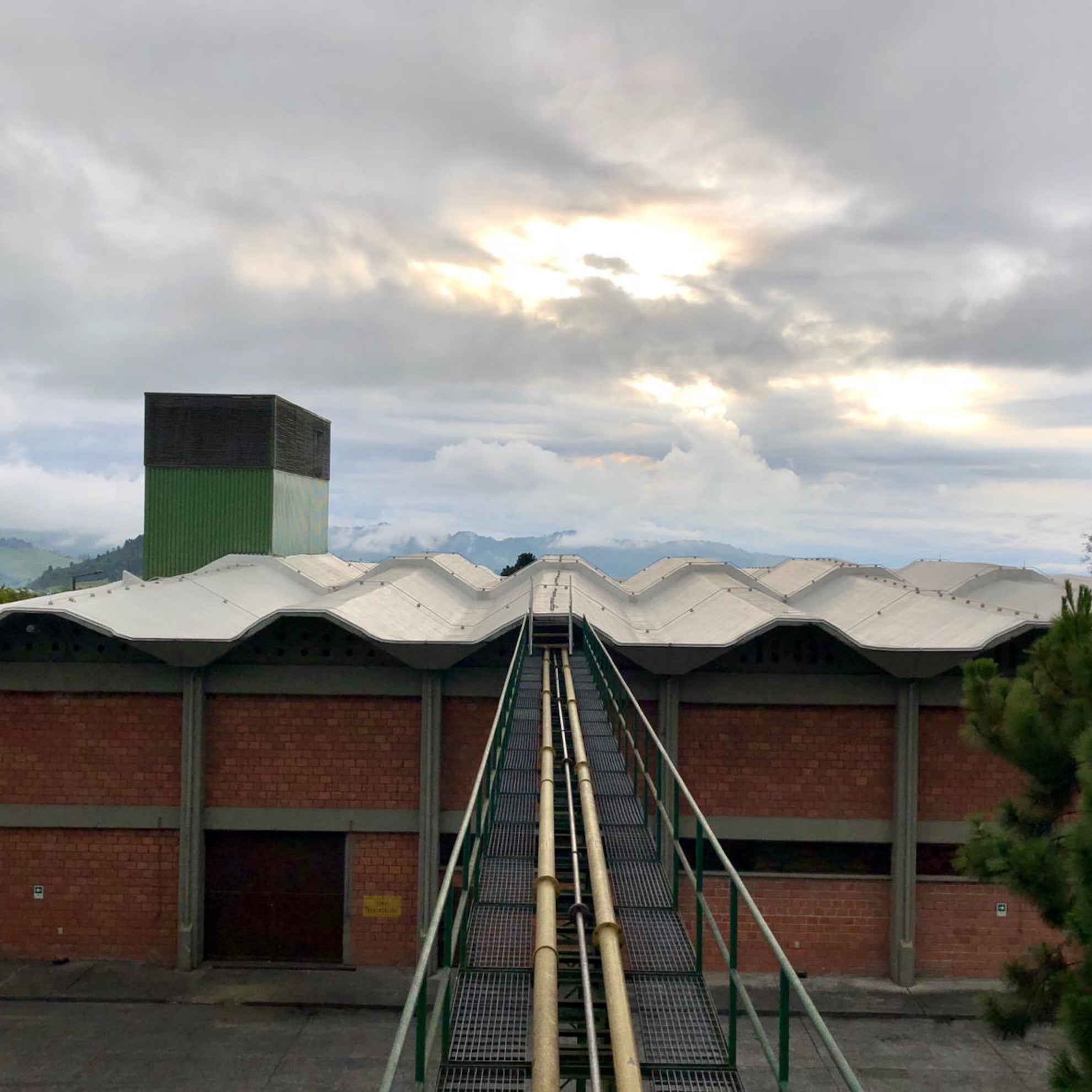 Risaralda Decaf, Colombia