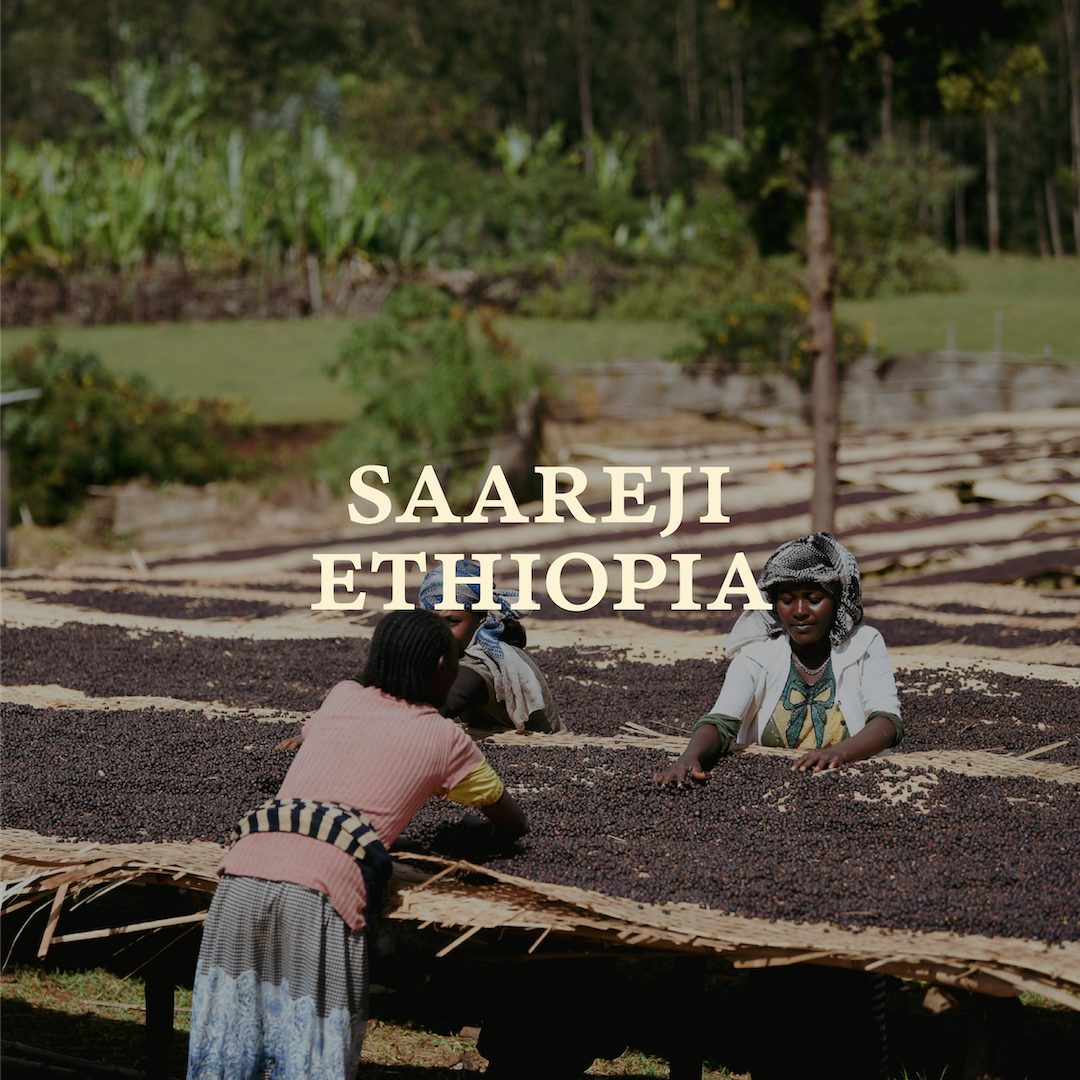 Saareji, Ethiopia